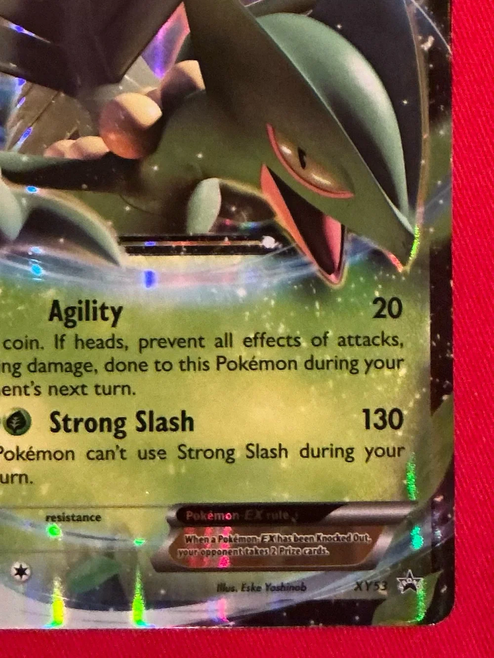 The Pokémon Company Pokémon TCG Sceptile EX XY53 XY Holo Promo English 2015 170